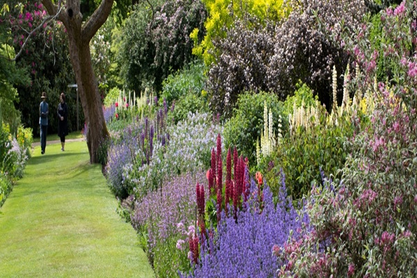The Savill Garden in Windsor